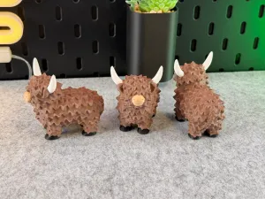 Highland Cow