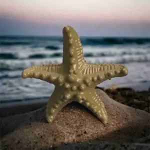 Starfish