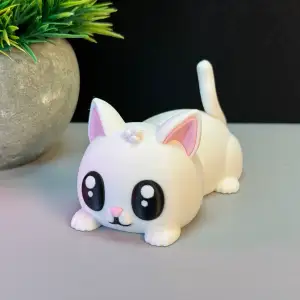 Cute Cat