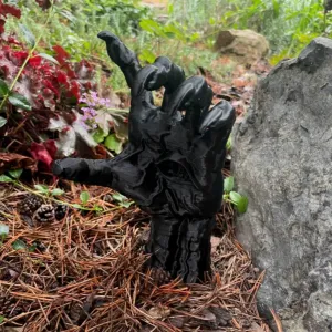 The witch's hand