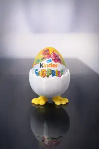 Hatching Egg Holder