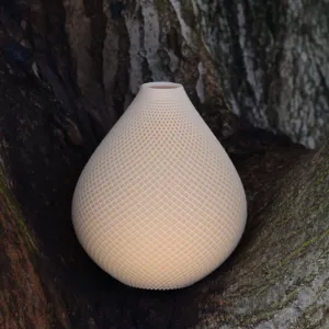 Gardenia | Modern Vase