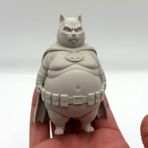 Chonky Bat Kitten
