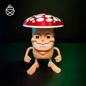 Fungirolo