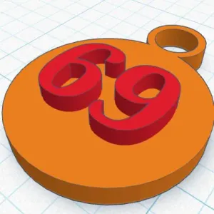 69 keychain