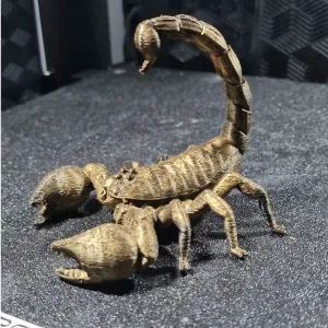 scorpion detailed model