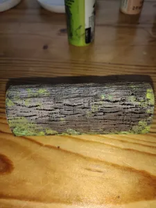 Reptile Cave