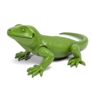 Lizard
