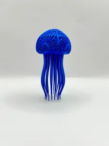 Jellyfish