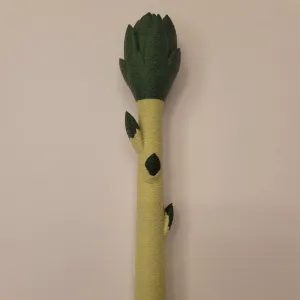 Bluey's Magic Asparagus