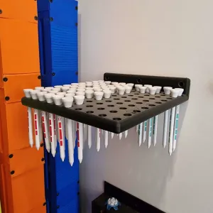 Golf Tee Holder