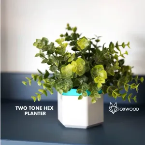 Two Tone Hex Planter
