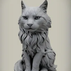 Maine Coon Cat