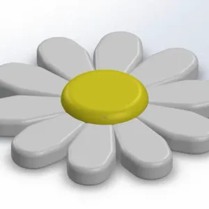 Papatya(Daisy)