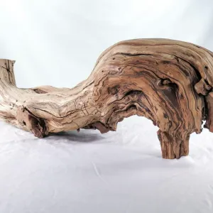 Tree branch for snake encloser
