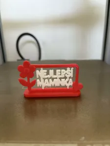 Mother’s Day Gift Easy 3D Print Decor color