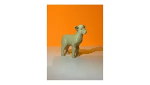 Lamb