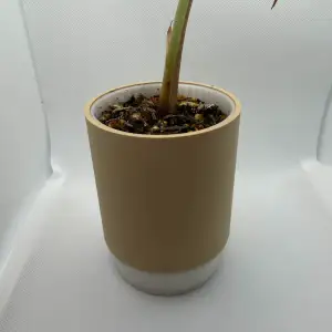 Simple Plant pot self watering 100 mm