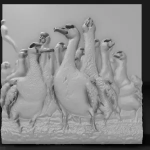 gaggle