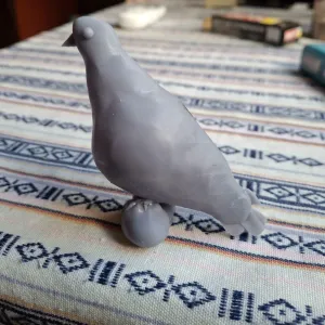 Pigeon