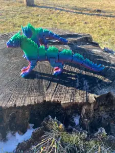 Winter Dragon