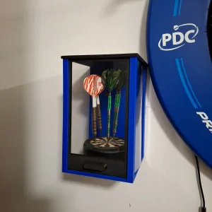 Wall-mounted dart display case