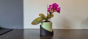 Ribbed planter pot