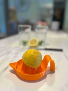 Citrus juicer