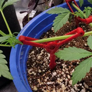 BranchGuide – Plant Training Stake (LST Alternative)