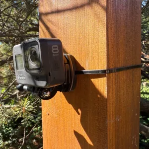 GoPro Zip Tie Mount