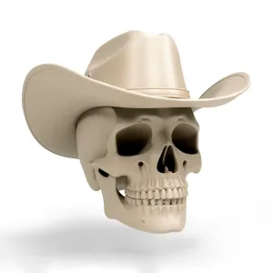 Cowboy skull