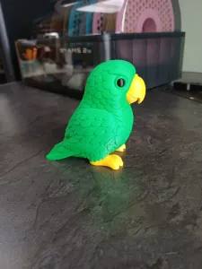 Colorful Tropical Parrot