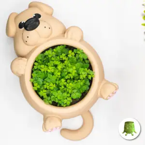 Chunky Dog Planter Pot
