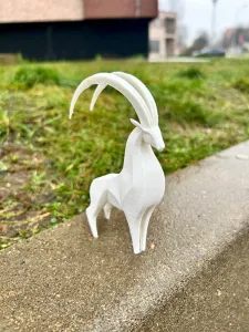 mountain goat