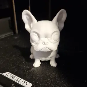 french bulldog