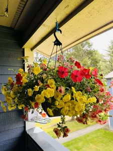 Lowe’s Hanging Plant Adapter