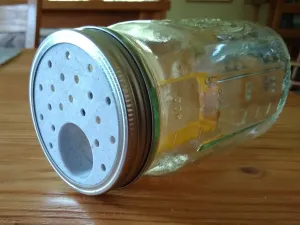 Mason Jar Mousetrap