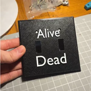 Dead or Alive Light Switch Dual