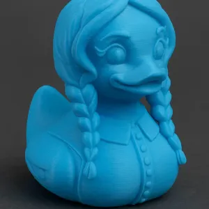 Wednesday Duck - Ducksday :)