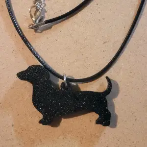 Dog Breeds Collection #08 Dachshund