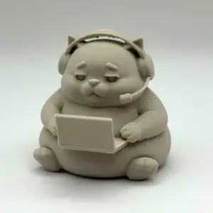 Chonky Gamer Kitten