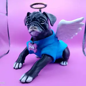 030226 - Chata pug Wings