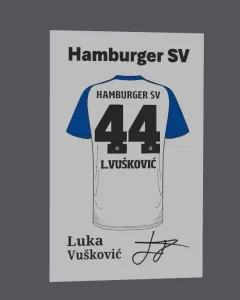 Bundesliga - Hamburger SV Luka Vušković Jersey display