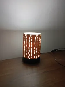 Lampara Cardón