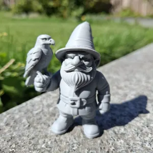Falconer Gnome – Master of the Skies