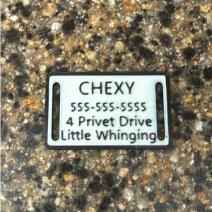 Pet Name Tag (Thru collar and tag with hole)