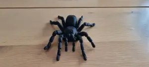 Articulated flexi tarantula