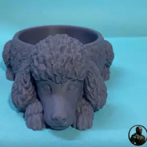 Poodle - dog bowl