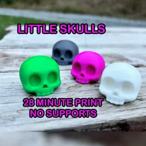 Little Skull