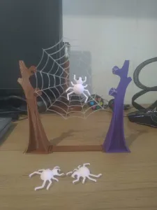 Jump spider